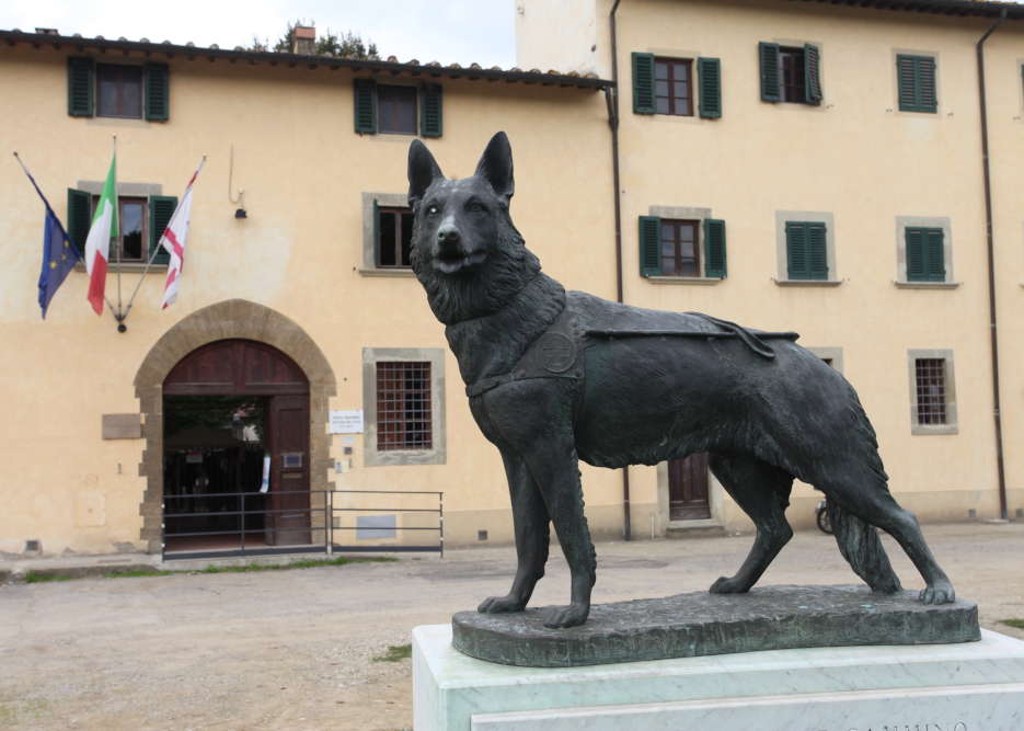 Area cani a Firenze